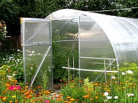 Выбор теплицы - как поступить правильно Выбор теплицы - как поступить правильно